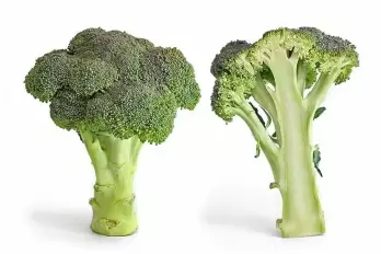Broccoli, leafy greens can help slow growth of Covid, flu